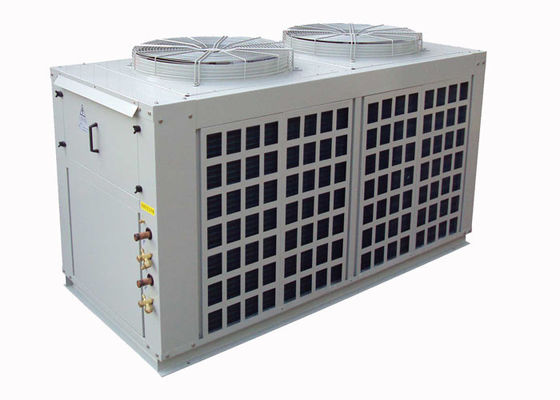 R22 หลาย Ducted แอร์แยกด้วยสุญญากาศเลื่อนคอมเพรสเซอร์